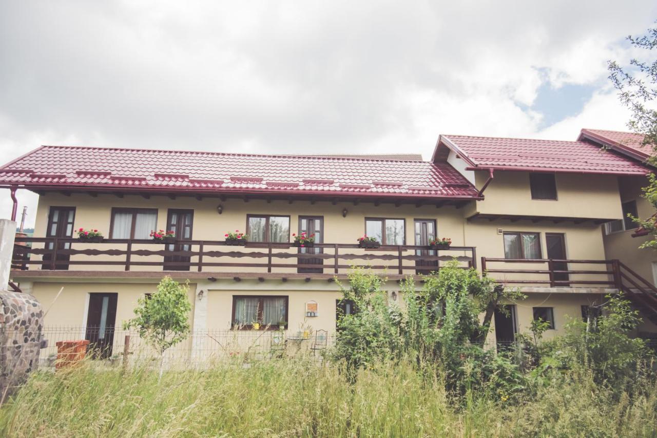 Vila Chic M Hotel Moieciu de Jos Ngoại thất bức ảnh